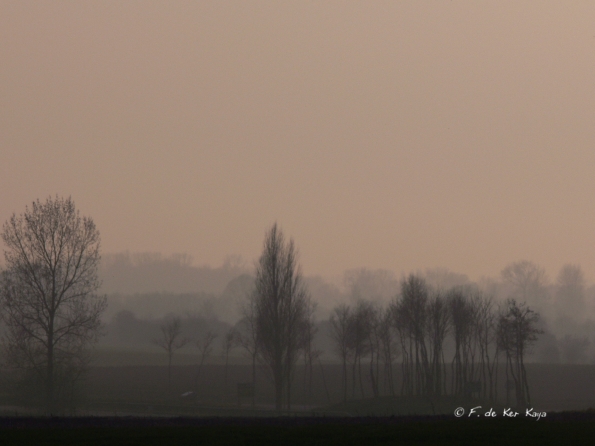 Le Hourdel brume